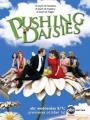 Nhật Ký Hoa Cúc Phần 2 - Pushing Daisies Season 2
