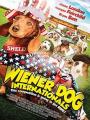 Giải Đua Chó Thế Giới - Wiener Dog Internationals