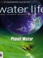 Cuộc Sống Nước - Water Life