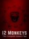 12 Con Khỉ Phần 2 - 12 Monkeys Season 2
