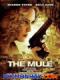 Chạy Trốn Ngoài Biên Giới - The Mule