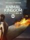 Vương Quốc Tội Phạm Phần 2 - Animal Kingdom Season 2