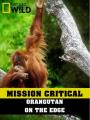 Nhiệm Vụ Cấp Bách: Đười Ươi: Trước Nguy Cơ Tuyệt Chủng - Mission Critical: Orangutan On The Edge