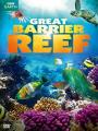 Rặng San Hô - Great Barrier Reef