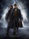 Sinh Vật Huyền Bí: Tội Ác Của Grindelwald - Fantastic Beasts: The Crimes Of Grindelwald
