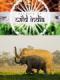Bí Ẩn Thế Giới Hoang Dã Ấn Độ: Vương Quốc Loài Voi - Secrets Of Wild India: Elephant Kingdom