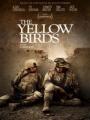Chim Vàng - The Yellow Birds
