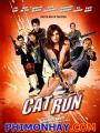 Sát Thủ Mèo Hoang - Cat Run
