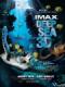 Thiên Đường Dưới Đáy Biển 3D - Deep Sea