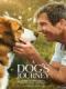 Hành Trình Của Chú Chó Bailey - A Dogs Journey
