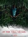Đồng Cỏ Ăn Thịt Người - In The Tall Grass