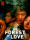 Khu Rừng Tình Yêu - The Forest Of Love