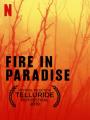 Hỏa Hoạn Tại Paradise - Fire In Paradise