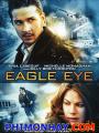 Mắt Đại Bàng - Eagle Eye