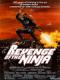 Ninja Báo Thù - Revenge Of The Ninja
