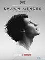 Theo Chân Shawn Mendes - Shawn Mendes: In Wonder