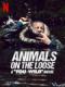 Bạn Đối Đầu Với Thiên Nhiên: Dã Thú Trốn Thoát - Animals On The Loose: A You Vs. Wild Movie