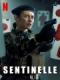 Chiến Dịch Sentinelle - Sentinelle