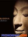 Cuộc Đời Đức Phật - The Buddha