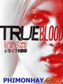 Thuần Huyết 5 - True Blood 5