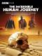 Cuộc Hành Trình Vĩ Đại Của Nhân Loại - The Incredible Human Journey