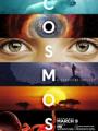 Vũ Trụ Kỳ Diệu Phần 1 - Cosmos: A Spacetime Odyssey Season 1