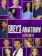Ca Phẫu Thuật Của Grey Phần 6 - Greys Anatomy Season 6