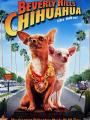 Những Chú Chó Chihuahua Ở Đồi Beverly - Beverly Hills Chihuahua
