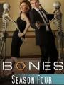 Hài Cốt Phần 4 - Bones Season 4
