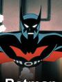 Người Dơi - The New Batman Adventures