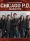Cảnh Sát Chicago Phần 2 - Chicago P.d. Season 2