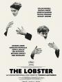 45 Ngày Định Mệnh - The Lobster