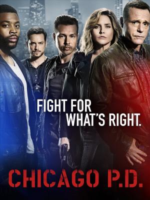 Cảnh Sát Chicago Phần 4 - Chicago Pd Season 4 Việt Sub (2017)