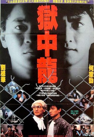 Ngục Tù Mãnh Long - Dragon In Jail Việt Sub (1990)