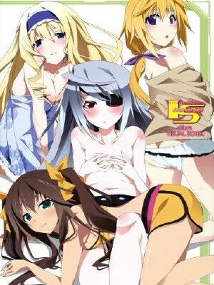 Is: Infinite Stratos 2 Long Vacation Edition - Hitonatsu No Omoide: The Memories Of One Summer Việt Sub (2013)