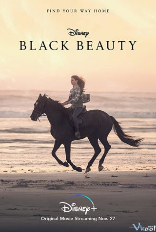 Chú Ngựa Đen Beauty Black Beauty.Diễn Viên: Max Von Sydow,Birgitta Valberg,Gunnel Lindblom