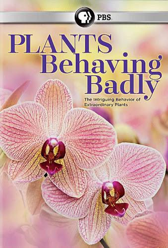 Bí Ẩn Về Thực Vật Ăn Động Vật Plants Behaving Badly.Diễn Viên: Go Kyung Pyo,Jin Kyung,Kang Hyung Suk,Kim Jae Young