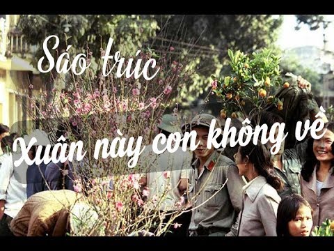 Sáo Trúc Xuân Này Con Không Về | Quang Lê | Bamboo Flute Cover