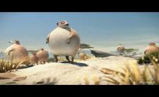ROLLIN SAFARI - Meerkats - what if animals were round?