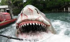 Khu Du Lịch Trải Nghiệm Với Cá Mập  !! :D