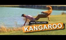 Kangaroo sổng chuồng