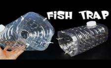 chế tạo bẫy cá bằng chai nhựa