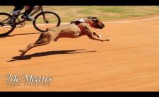 Chó chạy đua với xe đạp :3