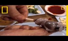Bạn nào dám ăn bạch tuộc sống không? :p