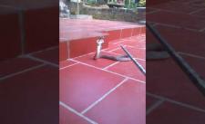 Thu phục rắn hổ mèo phun nọc độc trong sân nhà