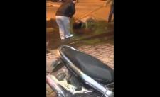 Sốc chó Pitbull cắn chết chó to giữa phố Hà Nội gây lo ngại