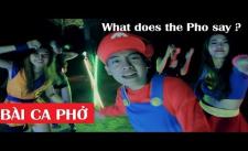 What does the Pho say/The Fox Vietnamese Parody (BÀI CA PHỞ)