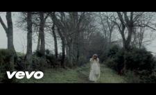 Safe And Sound. Taylor Swift (y)