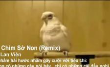 Con Chim Sờ Non (Chế - Remix) (Siêu Hài - Siêu Bựa - Siêu Không Bậy) - Thái Lan Viên