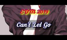 Nhạc EDM Hay Nhất 2019 #3 (Can't Let Go)